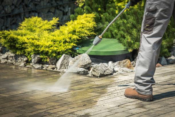Best Animal Enclosure Cleaning  in Islip Terrace, NY